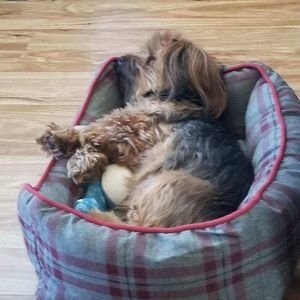 Meet your Posher, Estella